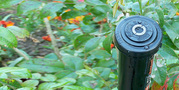Custom Design Sprinkler System NJ